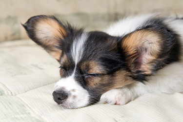 Similar image 446940