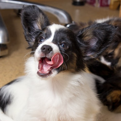 Similar image 446941