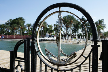 Similar image 446978