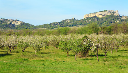 Similar image 447002