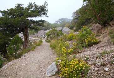 Similar image 447018