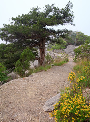 Similar image 447021