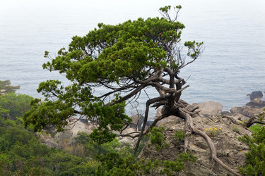 Similar image 447028