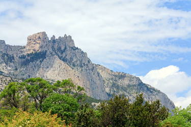 Similar image 447036