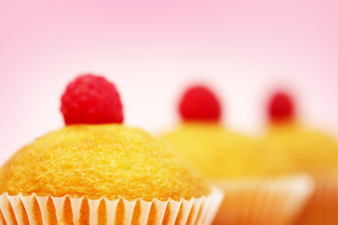 Similar image 447042