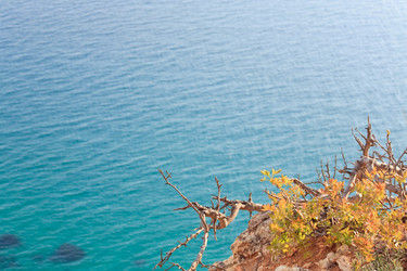 Similar image 447045