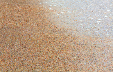 Similar image 447055