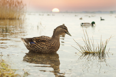 Similar image 447081