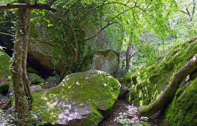 Similar image 447082