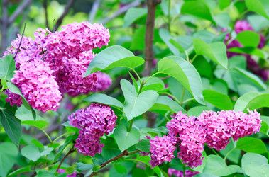 Similar image 447089