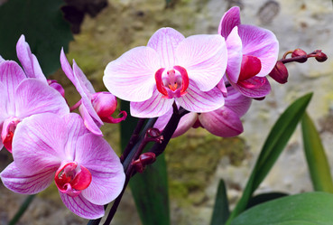 Similar image 447094