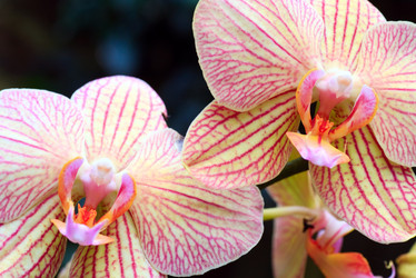 Similar image 447097