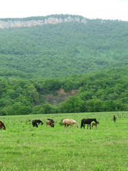 Similar image 447263