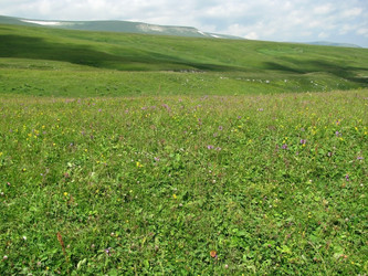 Similar image 447264