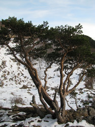 Similar image 447265