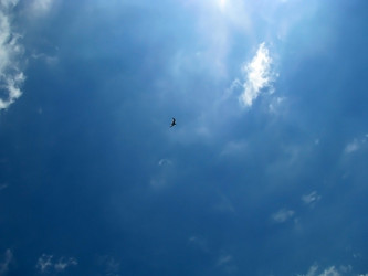 Similar image 447266