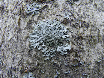 Similar image 447320