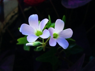 Similar image 447384