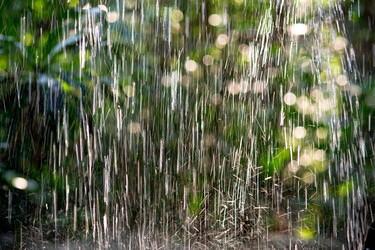 Similar image 447402