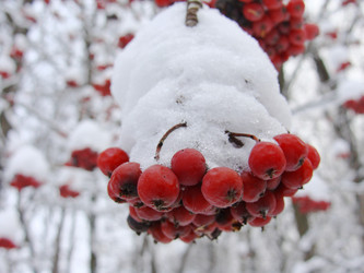 Similar image 447441