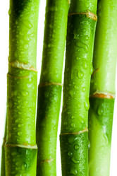 Similar image 447463