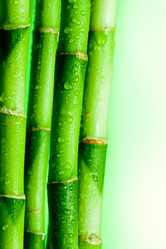 Similar image 447465