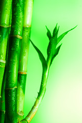 Similar image 447466