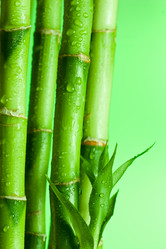 Similar image 447467