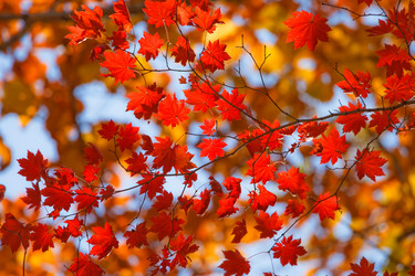 Similar image 447536