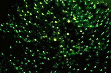 Similar image 447556