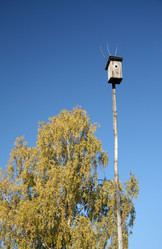 Similar image 447691