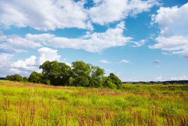 Similar image 447707