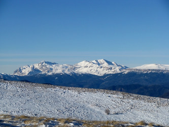 Similar image 447728