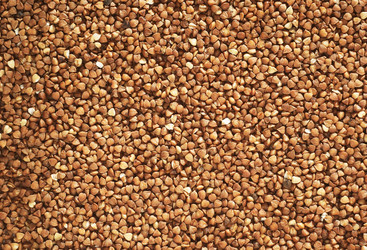 Similar image 447770