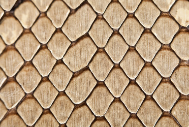 Similar image 447801