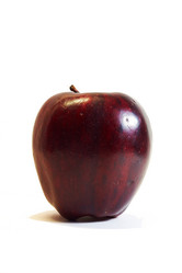 Similar image 448053