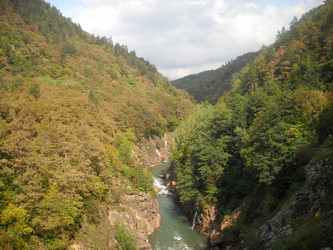 Similar image 448072