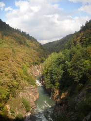 Similar image 448073