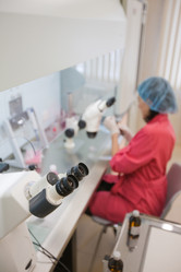 Similar image 448150