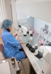 Similar image 448158