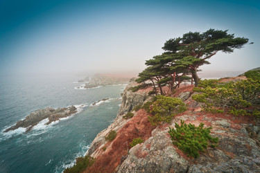 Similar image 448184