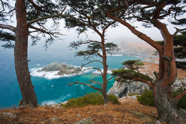 Similar image 448189