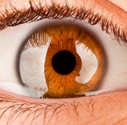 Similar image 448211