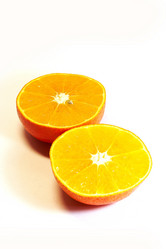 Similar image 448319