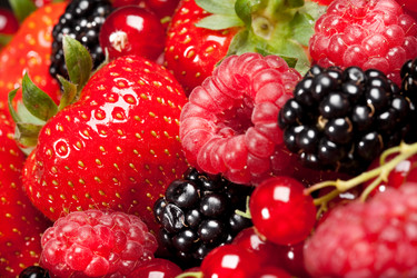 Similar image 448502