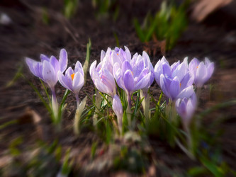 Similar image 448524