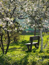 Similar image 448530