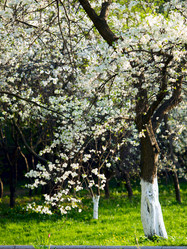 Similar image 448531