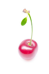 Similar image 448602