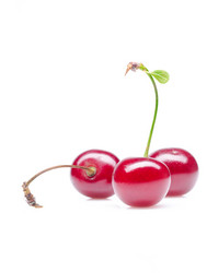 Similar image 448604